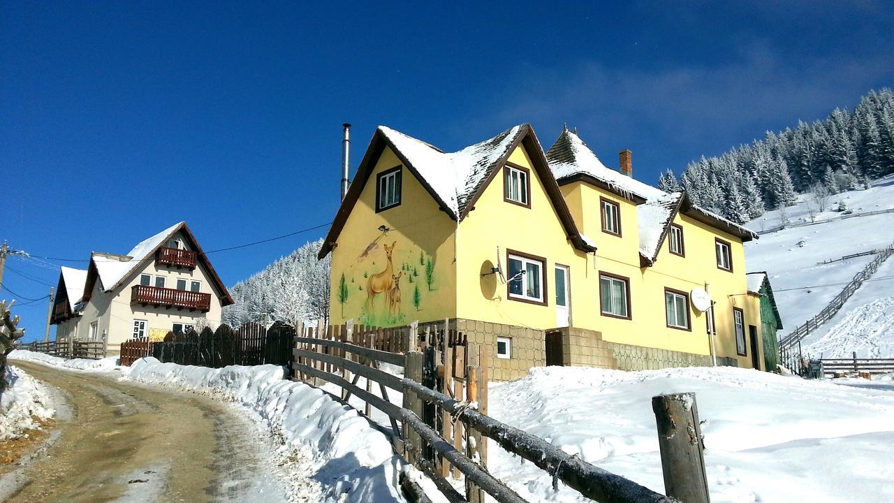 Casa Marcela Fundata Exteriér fotografie